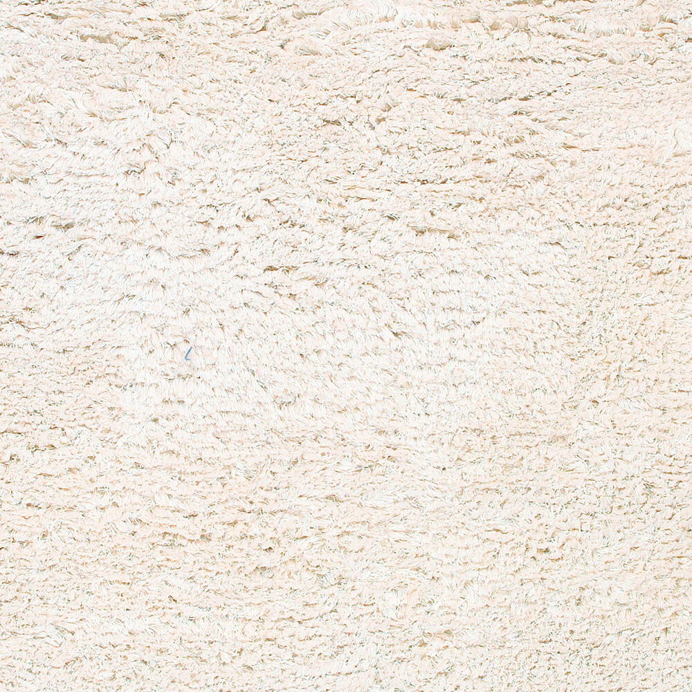 surya rug co ashton ash1300 ivory rug