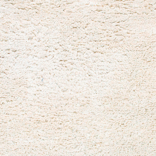 surya rug co ashton ash1300 ivory rug