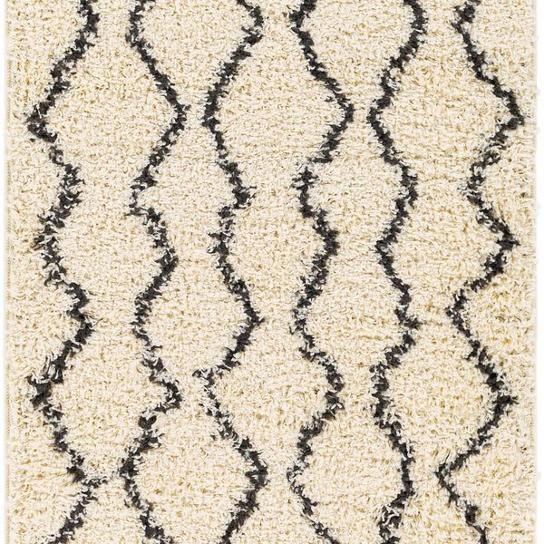 Hauteloom Assiniboia ASSI Black Machine Made Polypropylene Rug