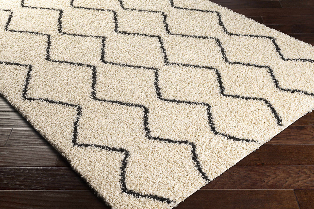 Hauteloom Assiniboia ASSI Black Machine Made Polypropylene Rug
