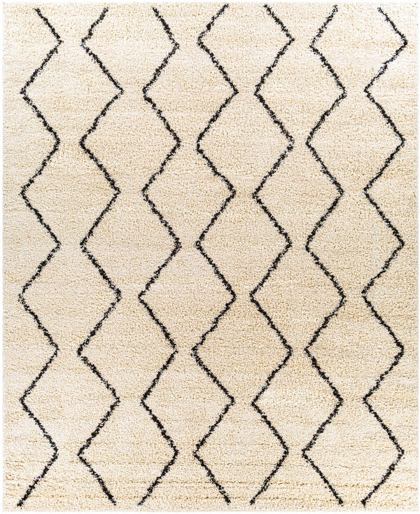 Hauteloom Assiniboia ASSI Black Machine Made Polypropylene Rug