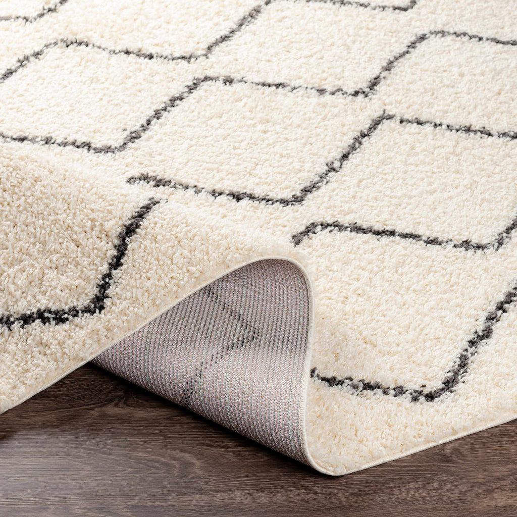 Hauteloom Assiniboia ASSI Black Machine Made Polypropylene Rug