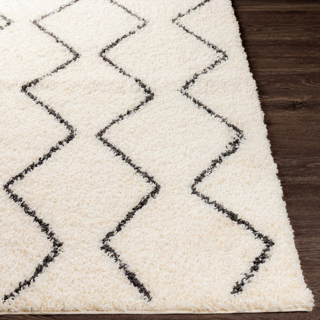 Hauteloom Assiniboia ASSI Black Machine Made Polypropylene Rug