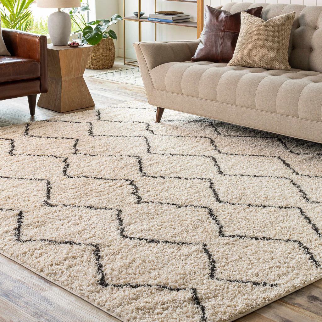 Hauteloom Assiniboia ASSI Black Machine Made Polypropylene Rug