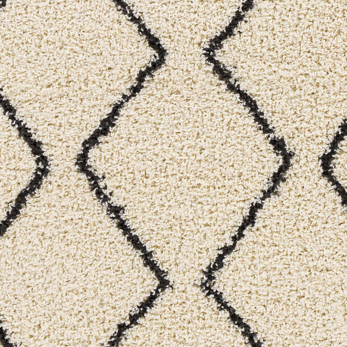 Hauteloom Assiniboia ASSI Black Machine Made Polypropylene Rug