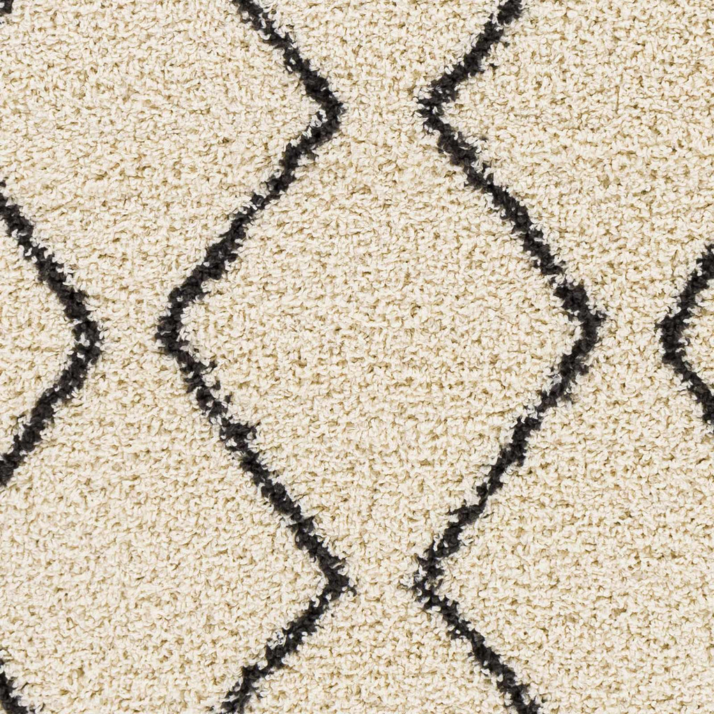 Hauteloom Assiniboia ASSI Black Machine Made Polypropylene Rug