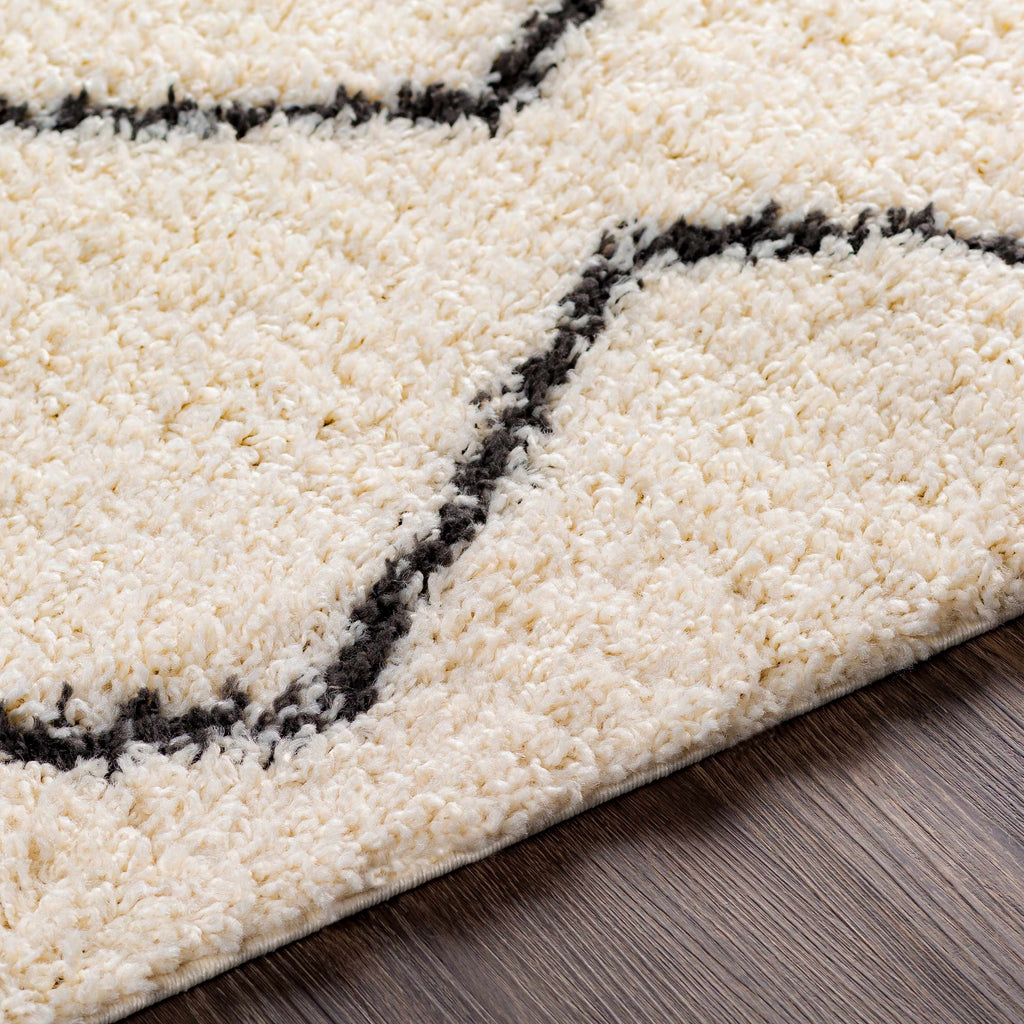 Hauteloom Assiniboia ASSI Black Machine Made Polypropylene Rug