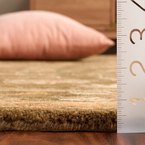 safavieh clearance antiquities at52a sage rug