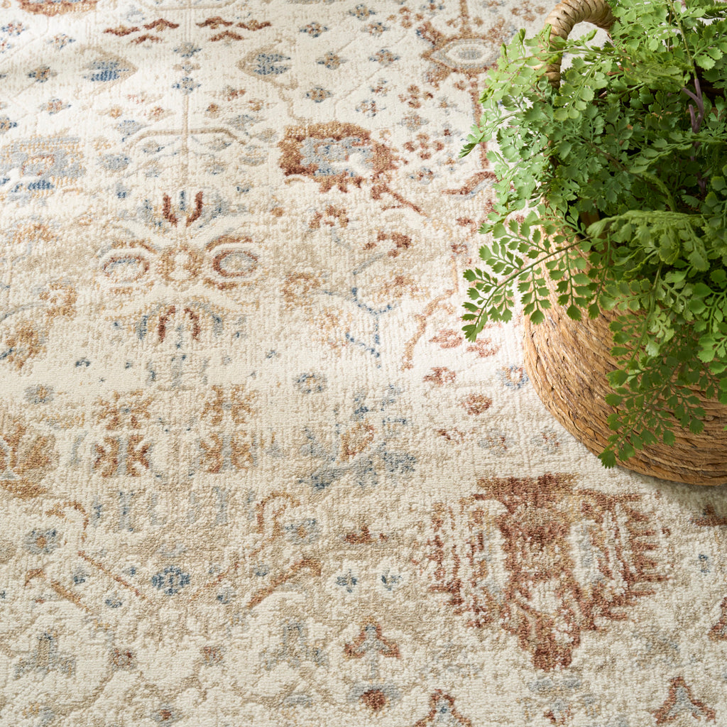 nourison pardis prd01 ivory rust rug