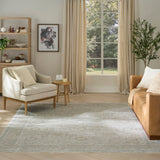 nourison envy evv02 grey rug