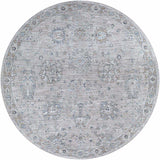 Hauteloom Albuquerque ALBUQ Light Gray Machine Made Polyester Rug