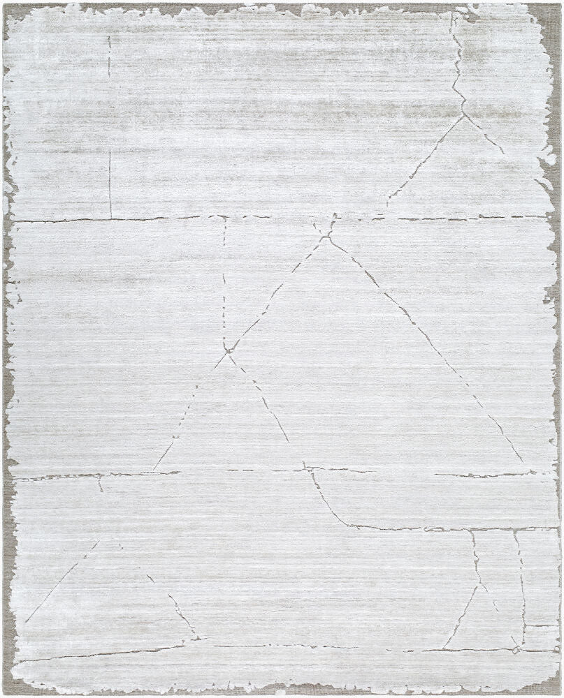 surya azad azd 2304 taupe rug