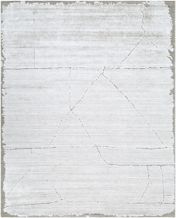 surya azad azd 2304 taupe rug