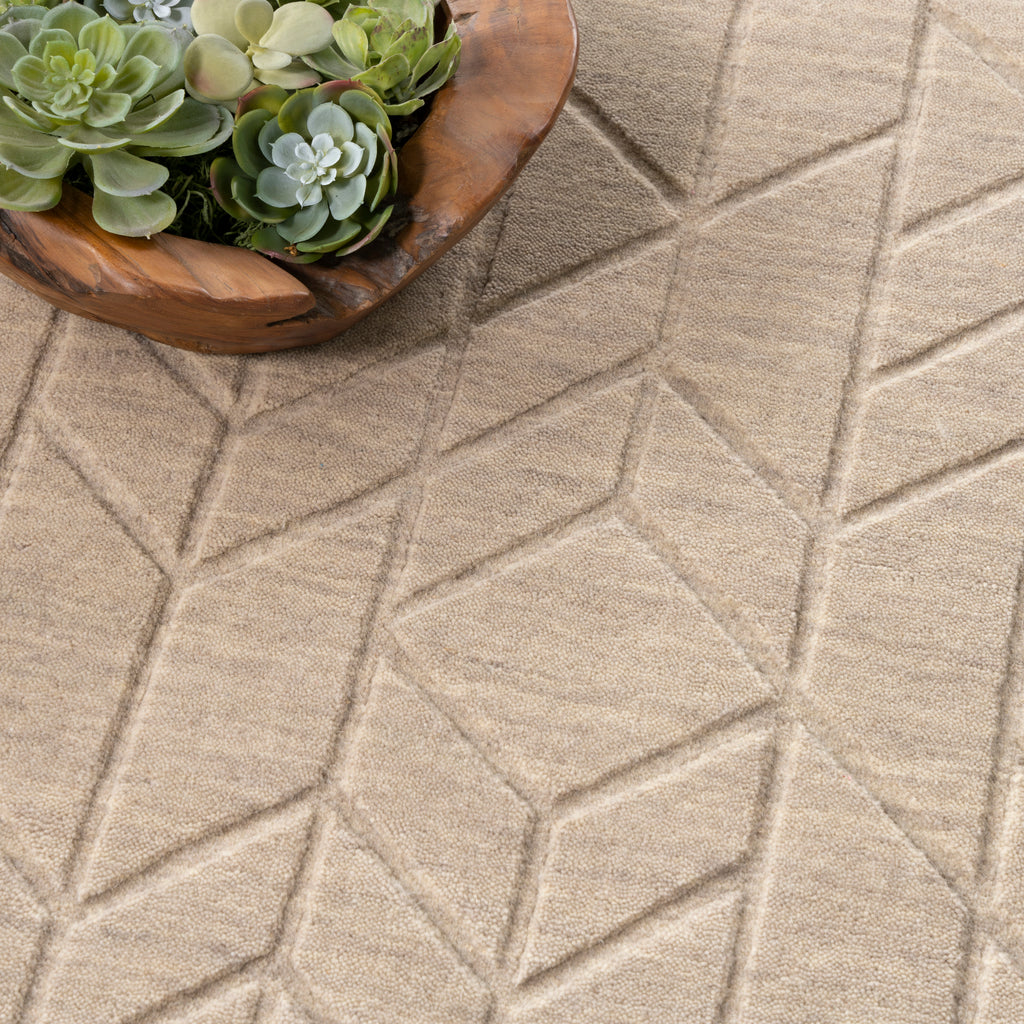 nourison alessia ale01 beige rug