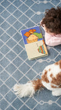 nourison astra machine washable asw10 blue rug