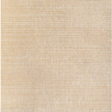 surya boston bbt 2307 tan rug