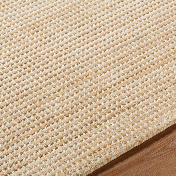 surya boston bbt 2307 tan rug