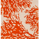 safavieh clearance bella bel115b beige rug