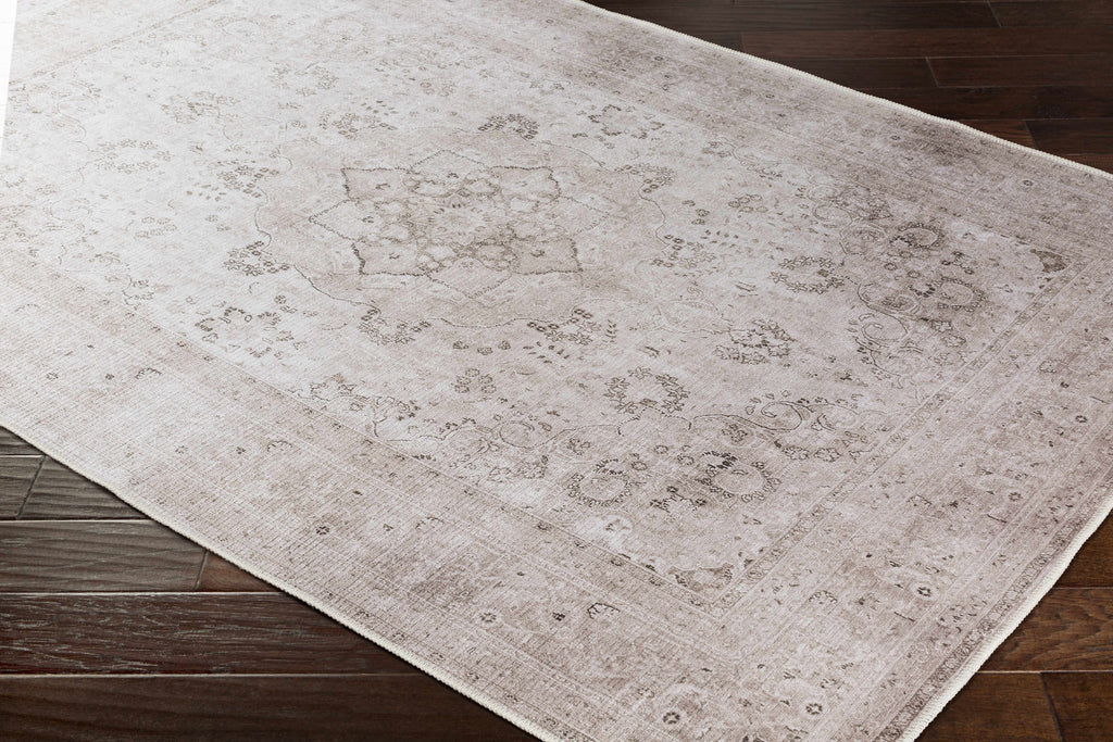 Hauteloom Bethany BET Beige Machine Made Chenille-Polyester Rug