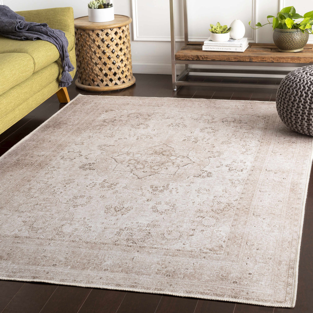 Hauteloom Bethany BET Beige Machine Made Chenille-Polyester Rug