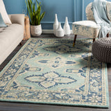 surya rug co bonifate bft1000 aqua rug