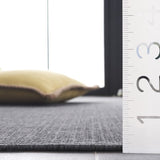 safavieh clearance beach house bhs260z black rug