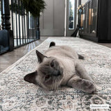 Hauteloom HOLI HOL2304 Olive Machine Made Polyester Rug