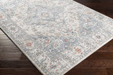 Hauteloom Billings BLLLQ Light Gray Machine Made Polypropylene Rug