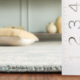 safavieh clearance blossom blm701l light blue rug