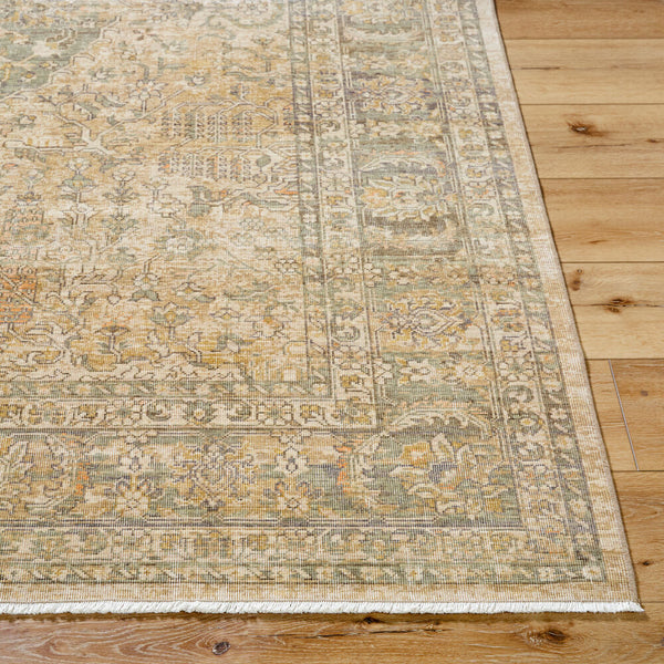 surya renaissance bori 2300 light beige rug