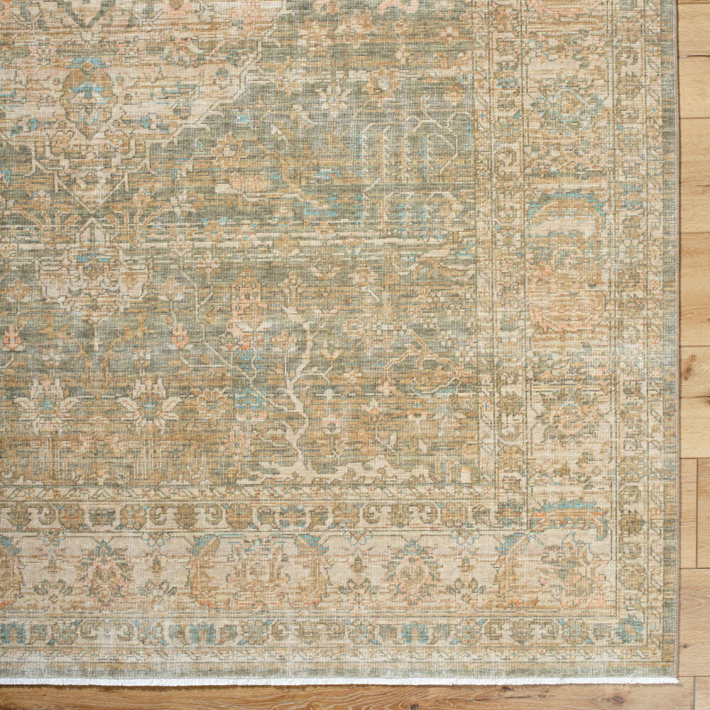 surya renaissance bori 2302 taupe rug
