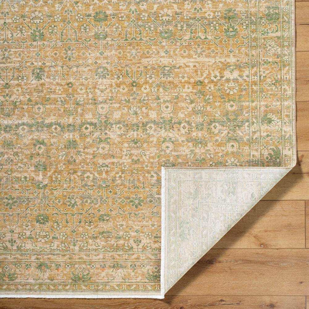 surya renaissance bori 2306 light beige rug