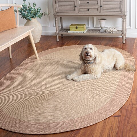 safavieh clearance braided bra281g ivory rug