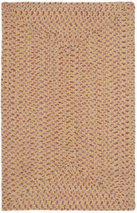 safavieh clearance braided brd164a beige rug