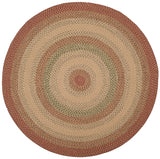 safavieh clearance brd303a rust rug