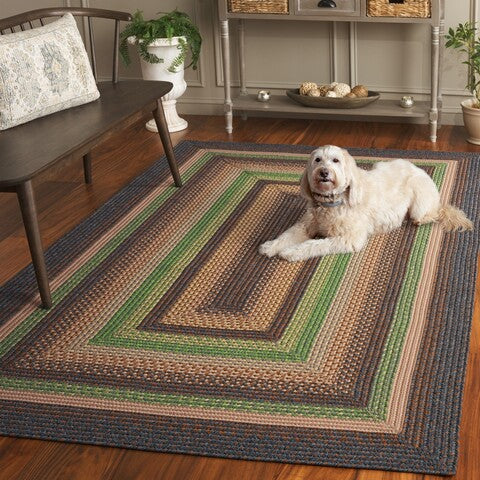 safavieh clearance braided brd314t brown rug