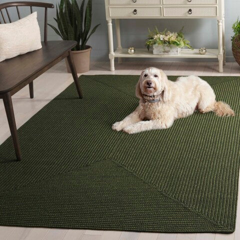 safavieh clearance brd315a green rug
