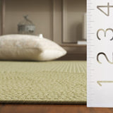 safavieh clearance braided brd315w sage rug