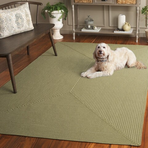 safavieh clearance braided brd315w sage rug