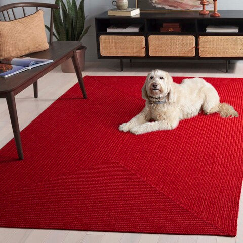 safavieh clearance braided brd317p rust rug