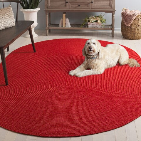safavieh clearance braided brd317p rust rug