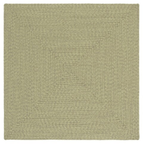 safavieh clearance braided brd317w sage rug
