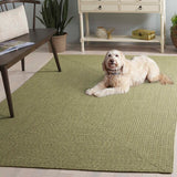safavieh clearance braided brd317w sage rug