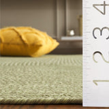 safavieh clearance braided brd317w sage rug