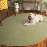 safavieh clearance braided brd317w sage rug