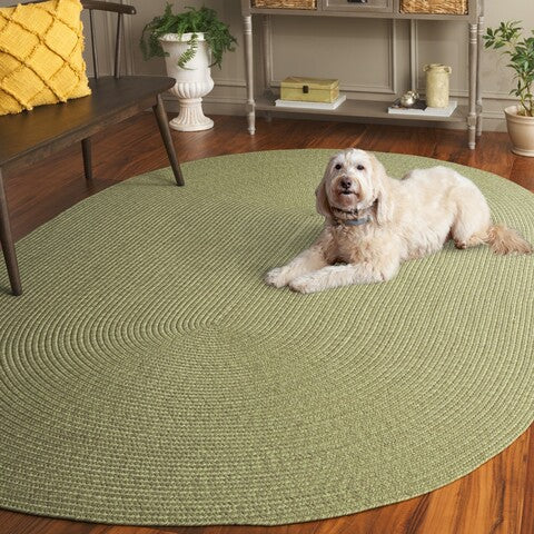 safavieh clearance braided brd317w sage rug