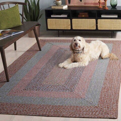 safavieh clearance braided brd318g brown rug