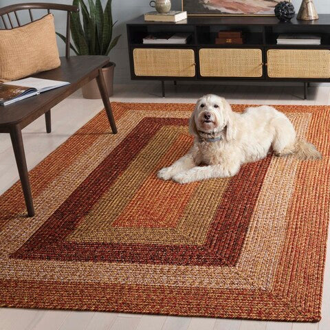 safavieh clearance braided brd318p rust rug