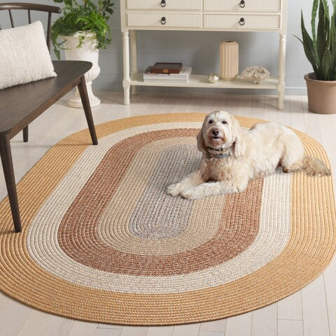 safavieh clearance braided brd318s brown rug