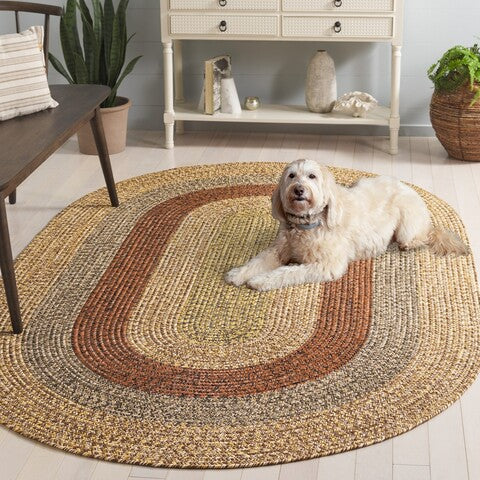 safavieh clearance braided brd318t brown rug